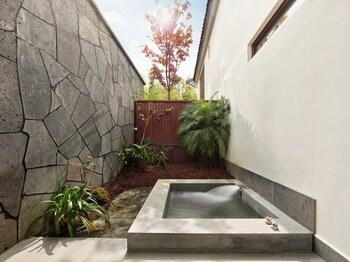 angsana tengchong