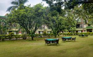 maya the forest resort