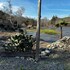 three rivers
