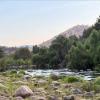 sequoia riverfront cabins