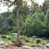 sequoia riverfront cabins