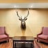 best western plus clearfield