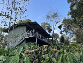 machaan wilderness lodge nagarahole