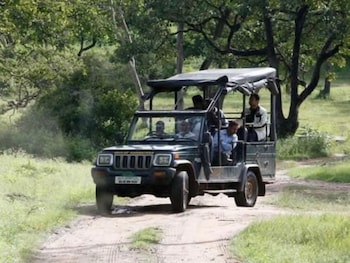 machaan wilderness lodge nagarahole