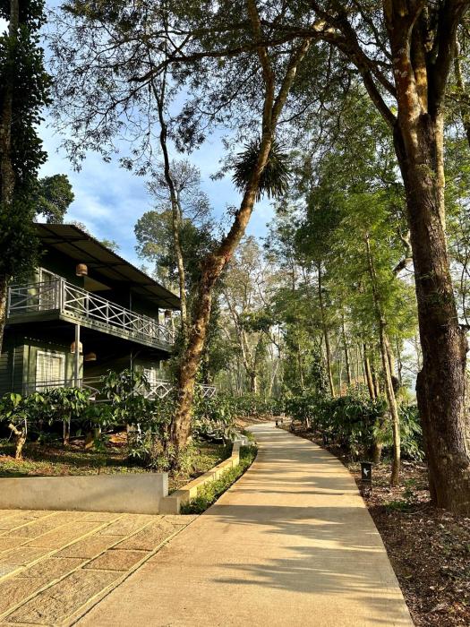 machaan wilderness lodge nagarahole