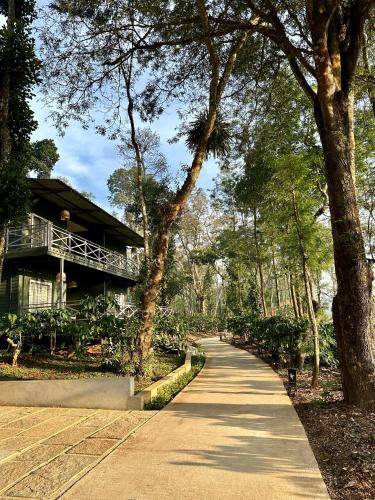 machaan wilderness lodge nagarahole