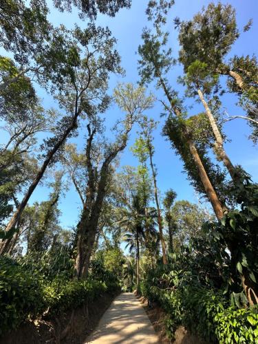 machaan wilderness lodge nagarahole