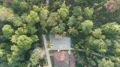 machaan wilderness lodge nagarahole