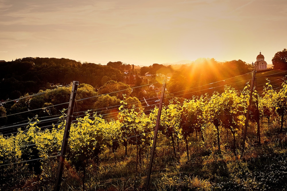 ehrenhausen an der weinstra e