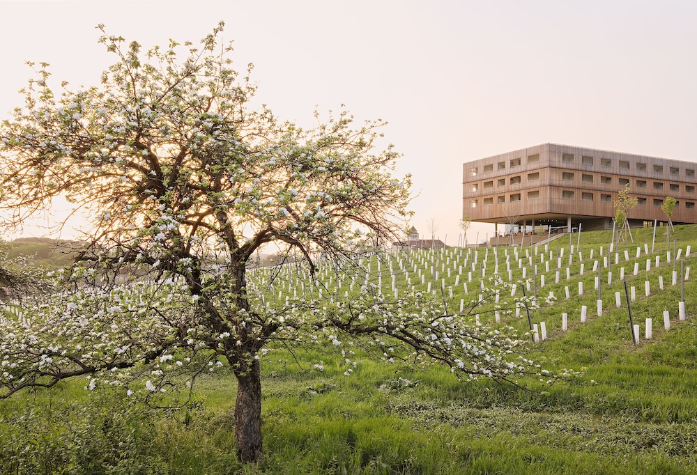 ehrenhausen an der weinstra e