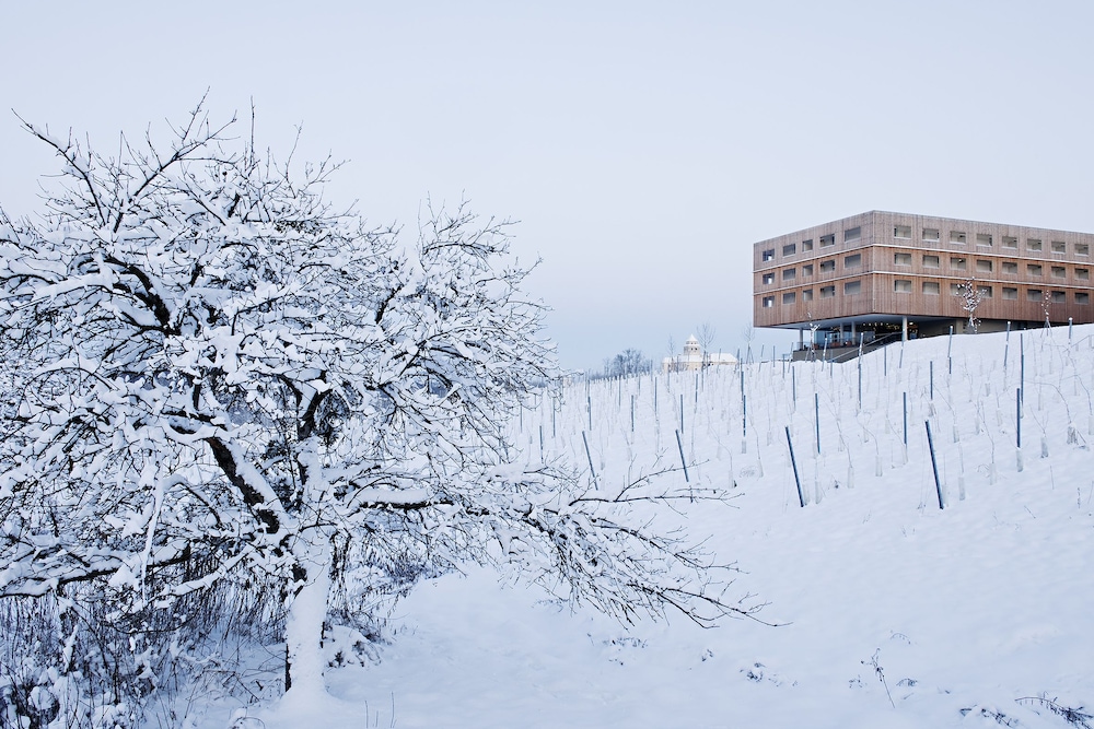 ehrenhausen an der weinstra e
