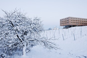ehrenhausen an der weinstra e