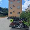 kotor