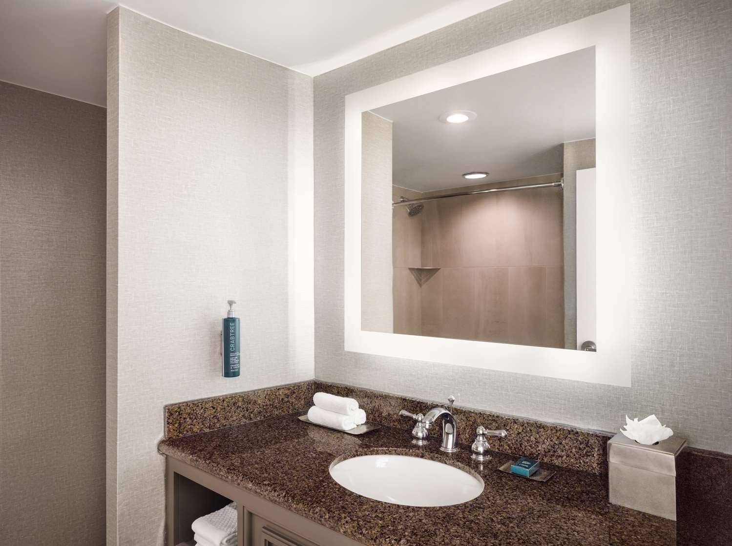 doubletree by hilton austin