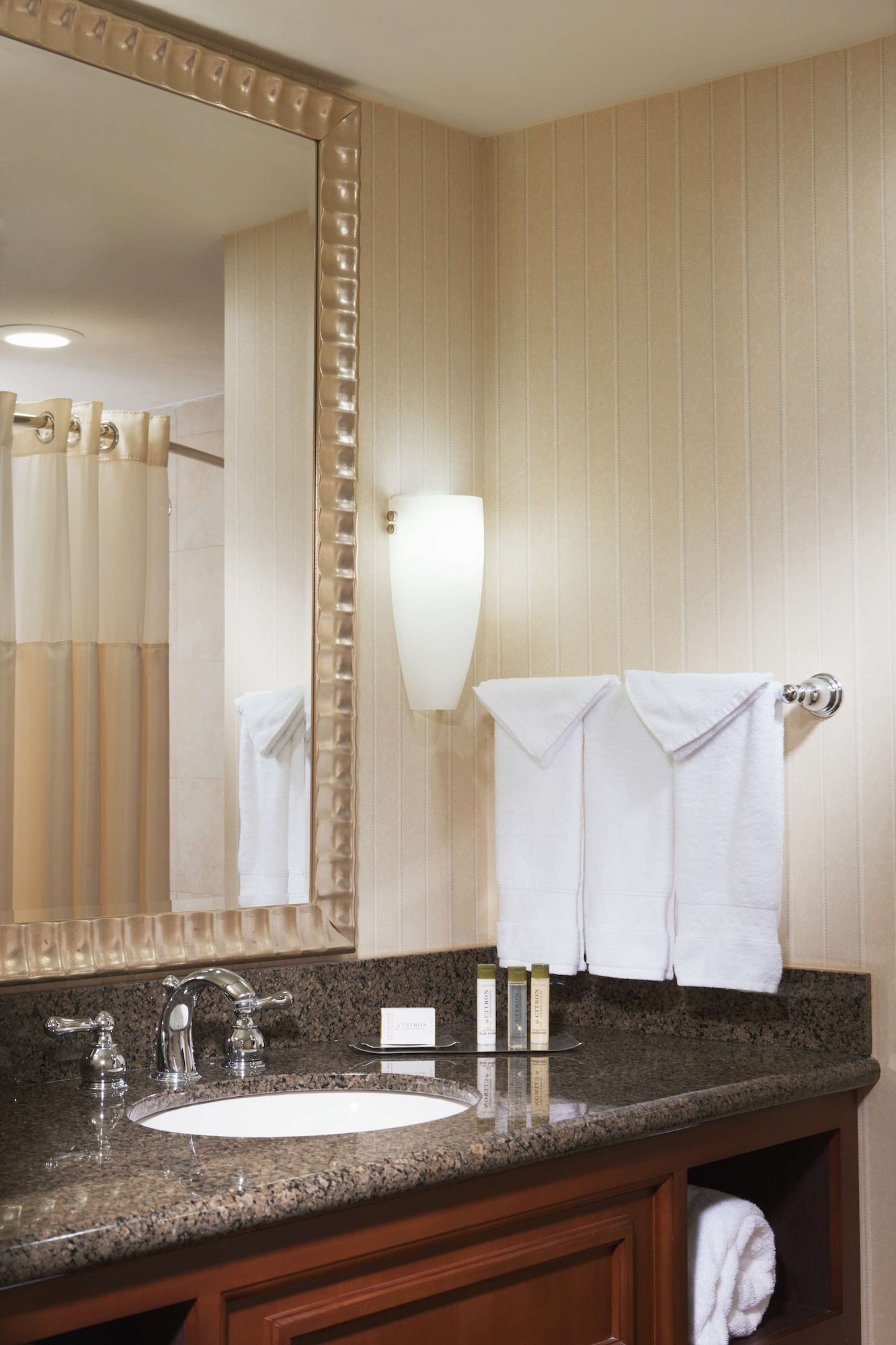 doubletree by hilton austin