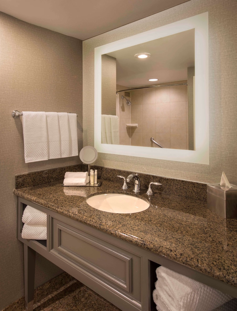 doubletree by hilton austin