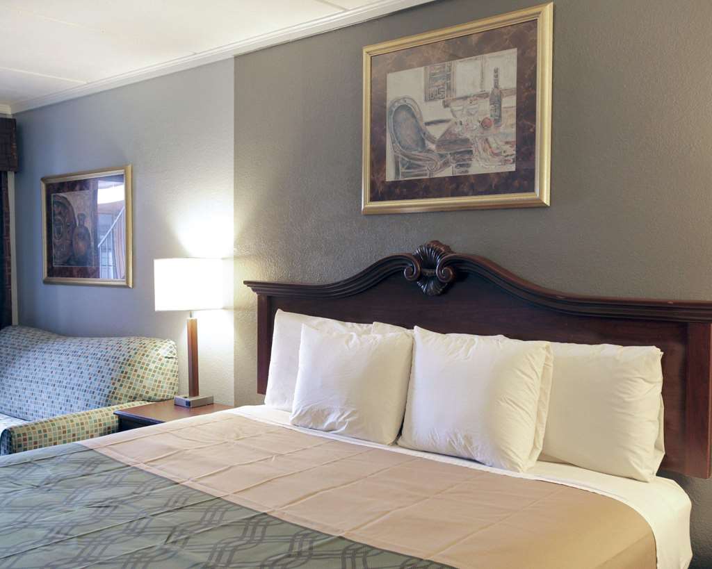 econo lodge near the domain the arboretum