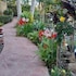 mapleton peaceful provence bnb