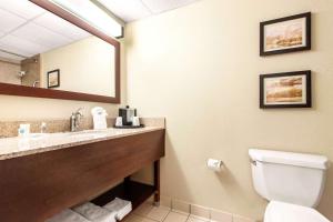 comfort inn and suites omaha central