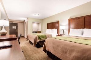 Comfort Inn & Suites Omaha Central,Omaha>>Douglas,3 star