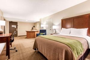 comfort inn and suites omaha central