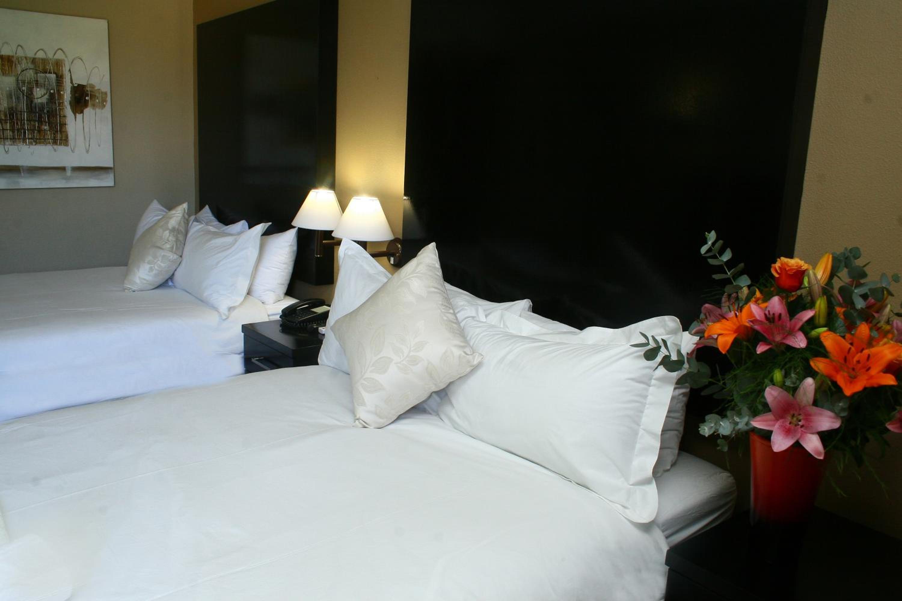 oudtshoorn hotel