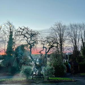ashtree house hotel
