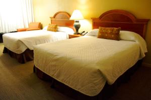 crystal cove hotel