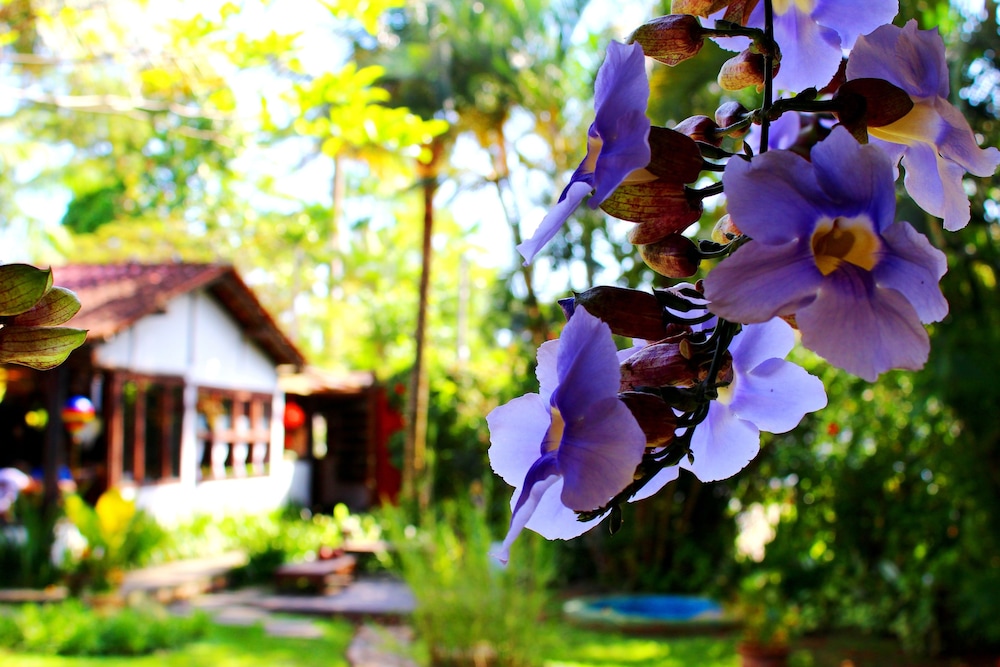 recanto das andorinhas studio