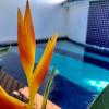 recanto das andorinhas studio