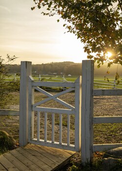granelunds bed and country living