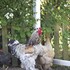 granelunds bed and country living