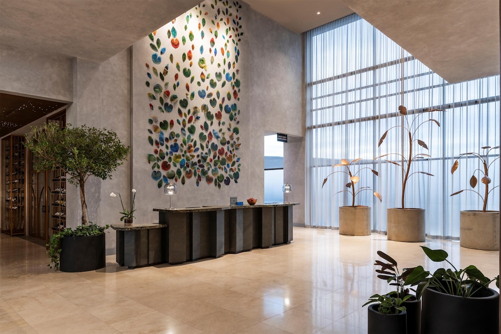 hyatt centric san jose escazu