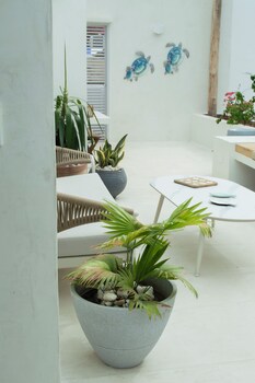 laguna by ld hoteles