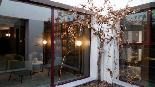 hospederia bodega ntra sra del rosario