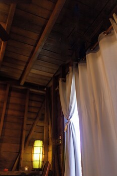 coconut by ool hotels