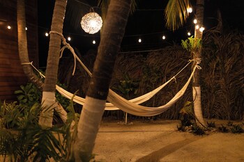 coconut by ool hotels