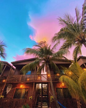 coconut by ool hotels