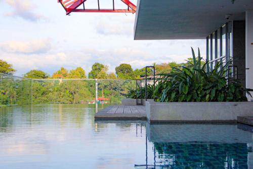 kandy myst by cinnamon