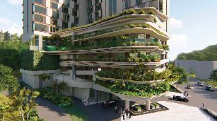 kandy myst by cinnamon