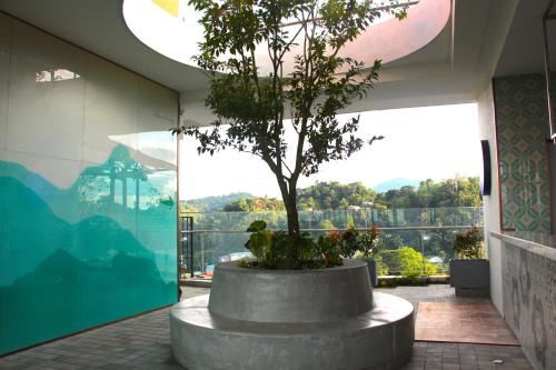 kandy myst by cinnamon