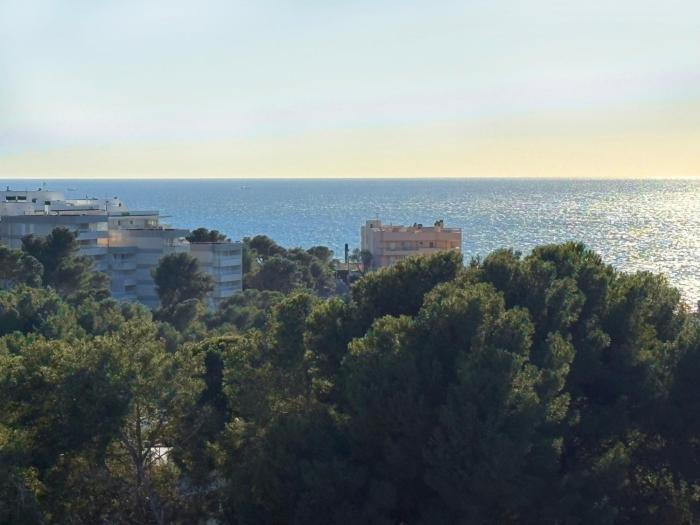 hotel sunclub calavinya adults recommended