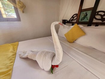 seagull nungwi resort