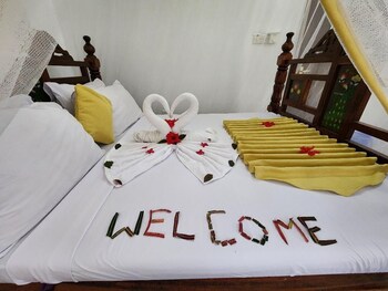 seagull nungwi resort