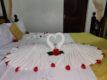 seagull nungwi resort