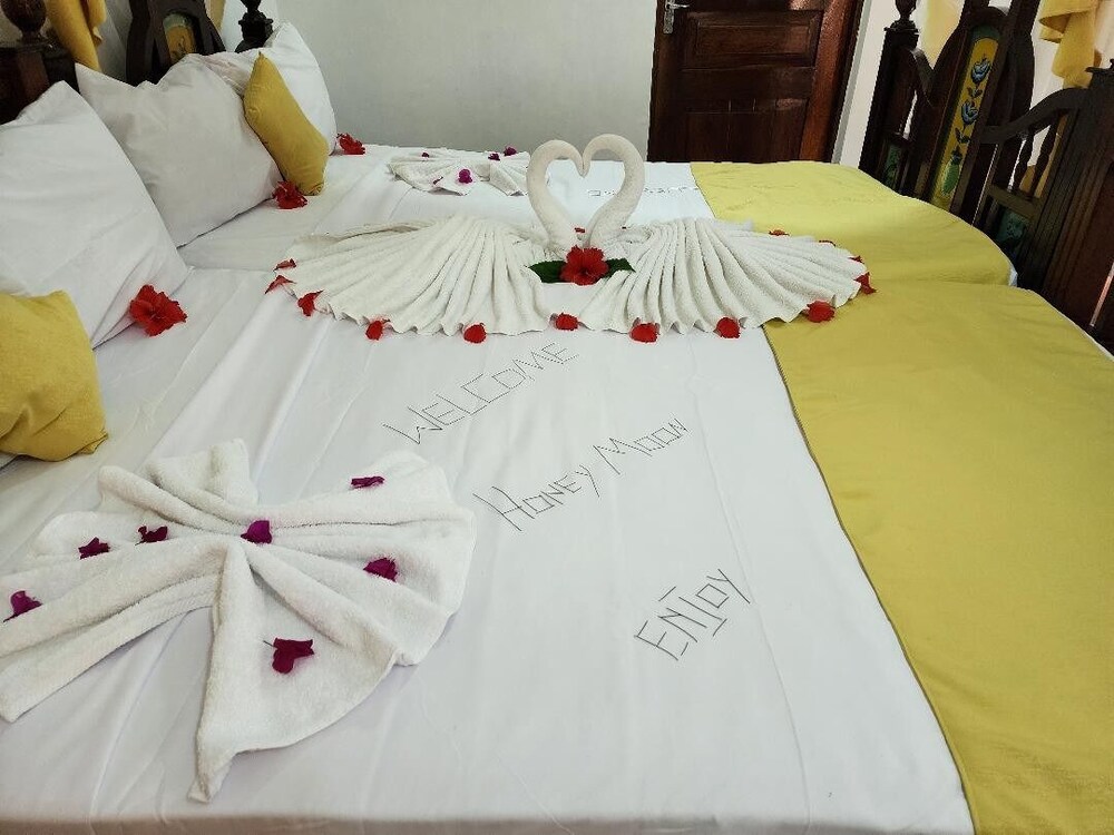 seagull nungwi resort