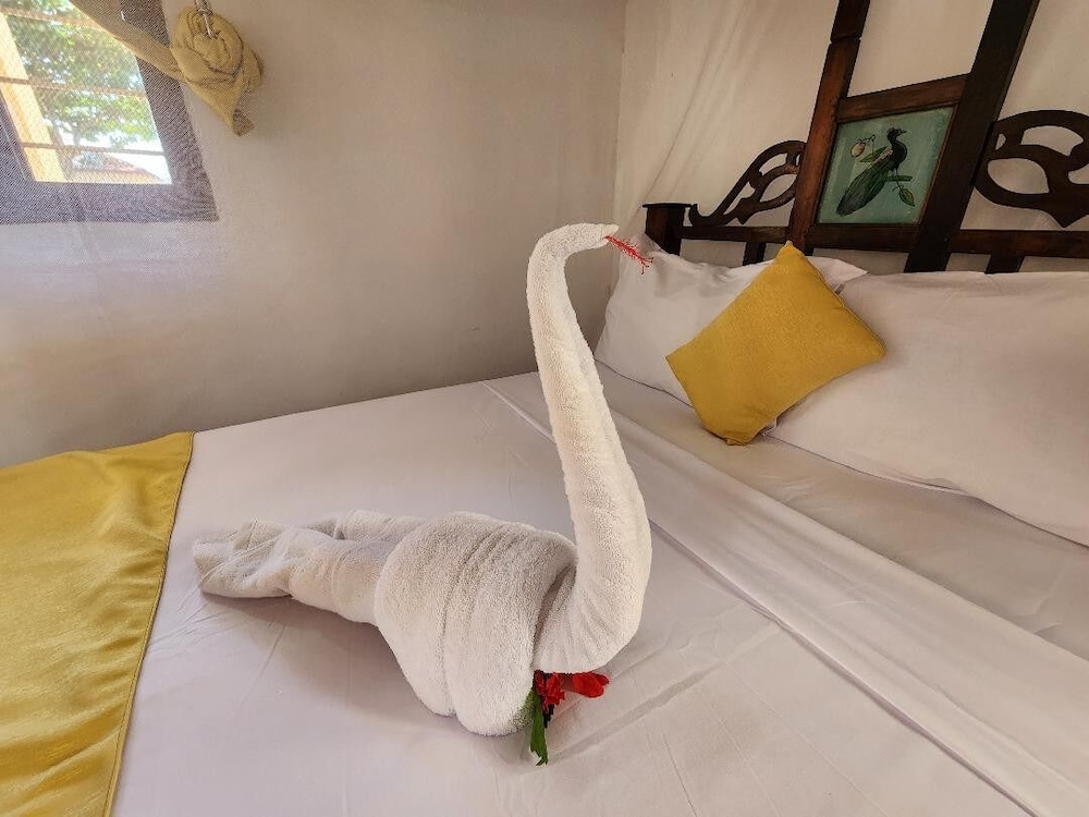 seagull nungwi resort