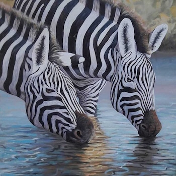 seagull nungwi resort