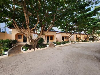 seagull nungwi resort