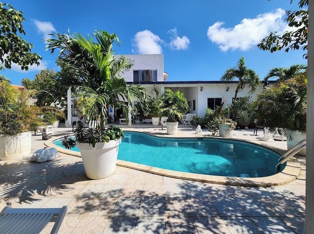 first day hotel on aruba